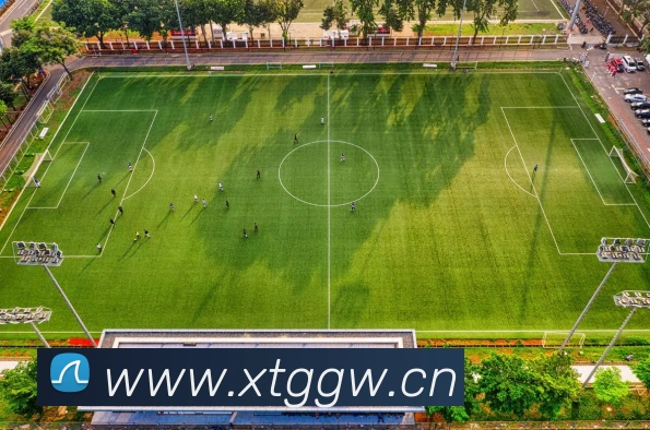 巅峰国标pg官网APP 封面图